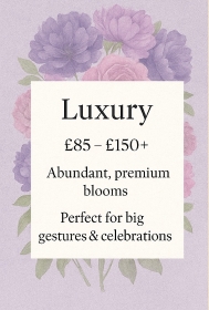 Luxury Collection
