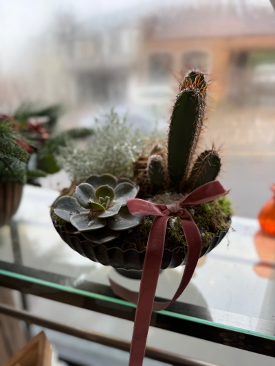 Festive Cactus Planter