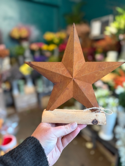 Rustic star