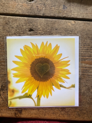 Sunflower for Ukraine card