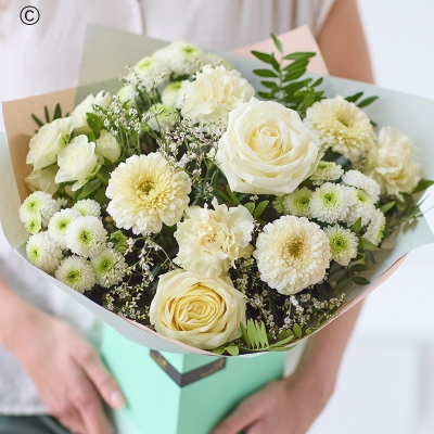 The Fresh Beauty