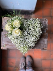 Petite gypsophila Heart