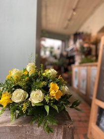 White Rose and Yellow Freesia posy