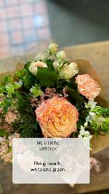 Classic Collection Gift Box
