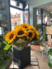A Dozen Sunflowers