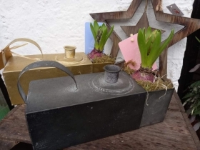 Candle and match box holder with hyacinth bulb