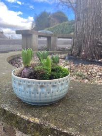 Ceramic hyacinth planter