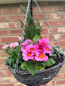 Hanging basket