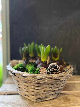 Hyacinth basket planter