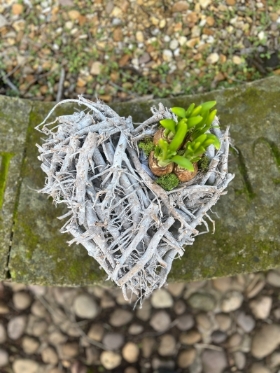 In rememberance   Heart