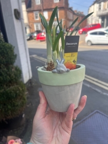 Mini Bunny tete a tete pot