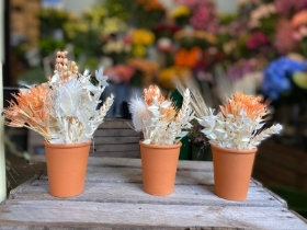 Mini Terracotta Dried arrangement
