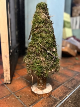 Mossmas Trees