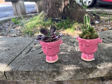 pretty face pots