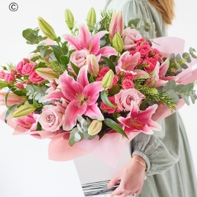 The Lily Rose Romance