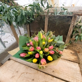 Tulip fields handtie